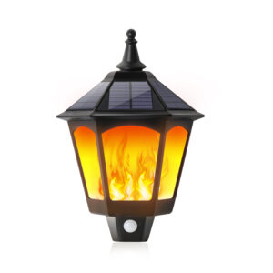 Ts Yy9087 1 Product Image (1)