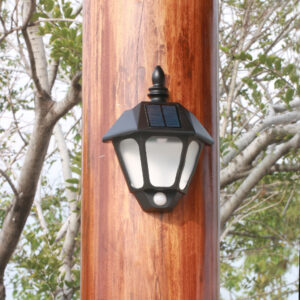 Ts Yy9087 1 Product Image (4)