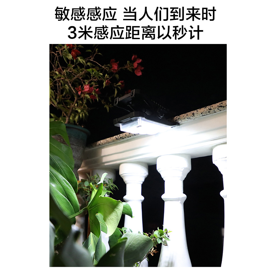 详情 11