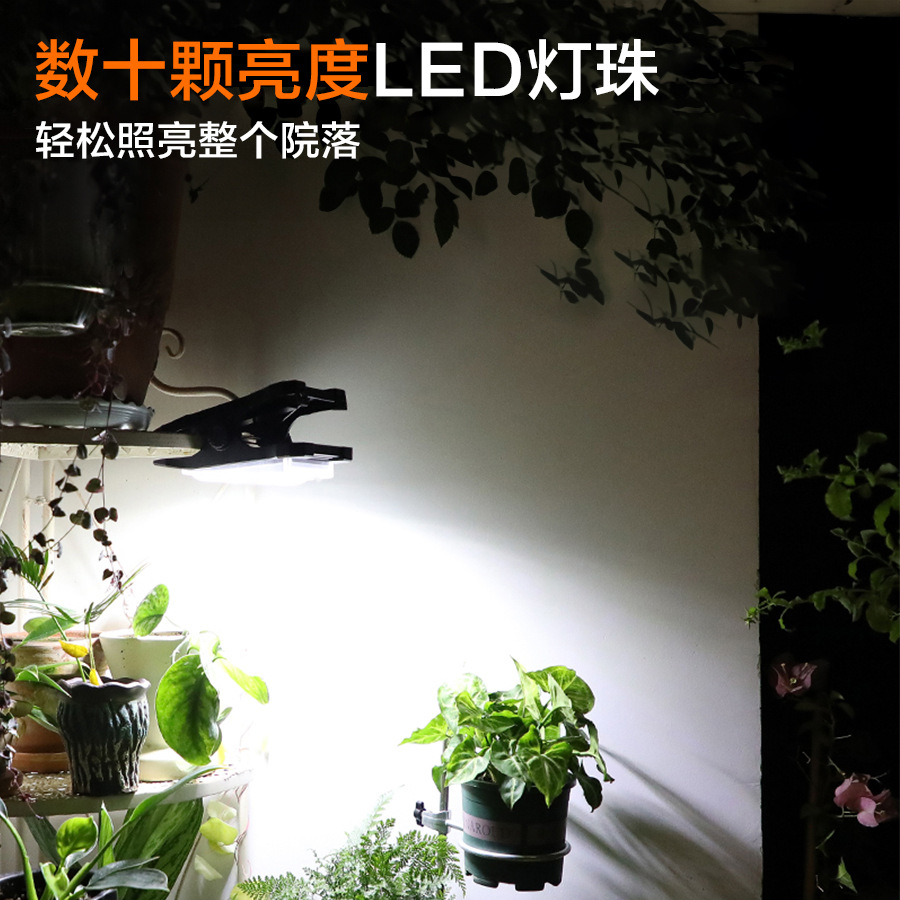 详情 14