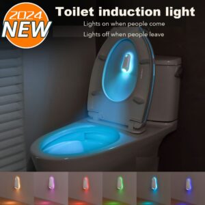Toilet induction light